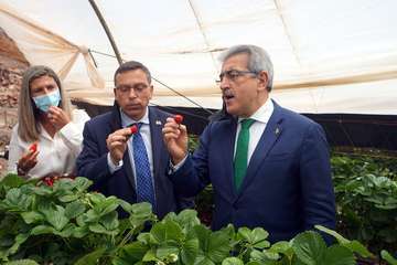 El vicepresidente del Gobierno de Canarias visita el municipio de Valsequillo/Acfi Press.